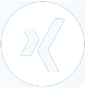 xing icon